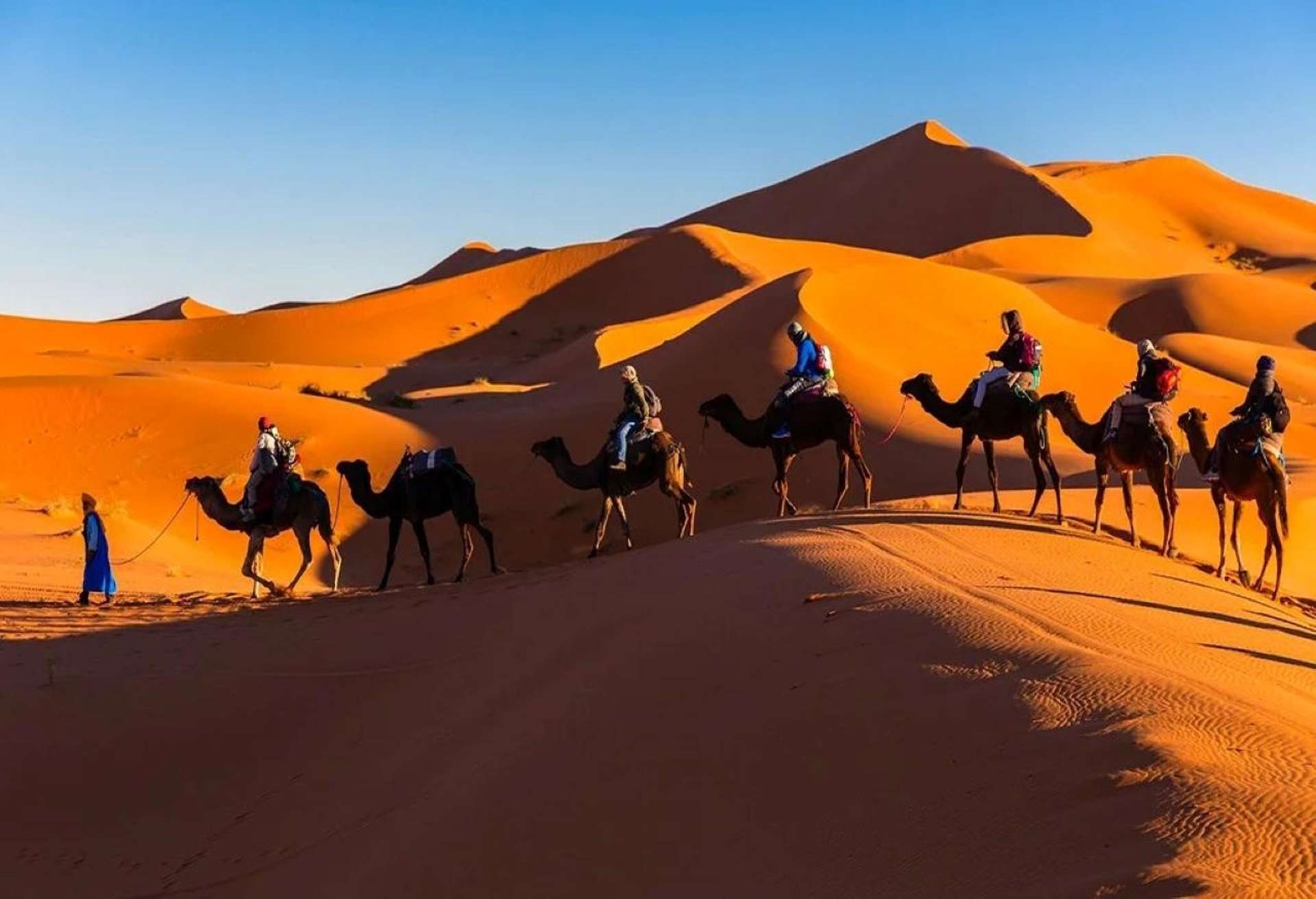 Sahara desert Merzouga Erg Chebbi dunes Morocco